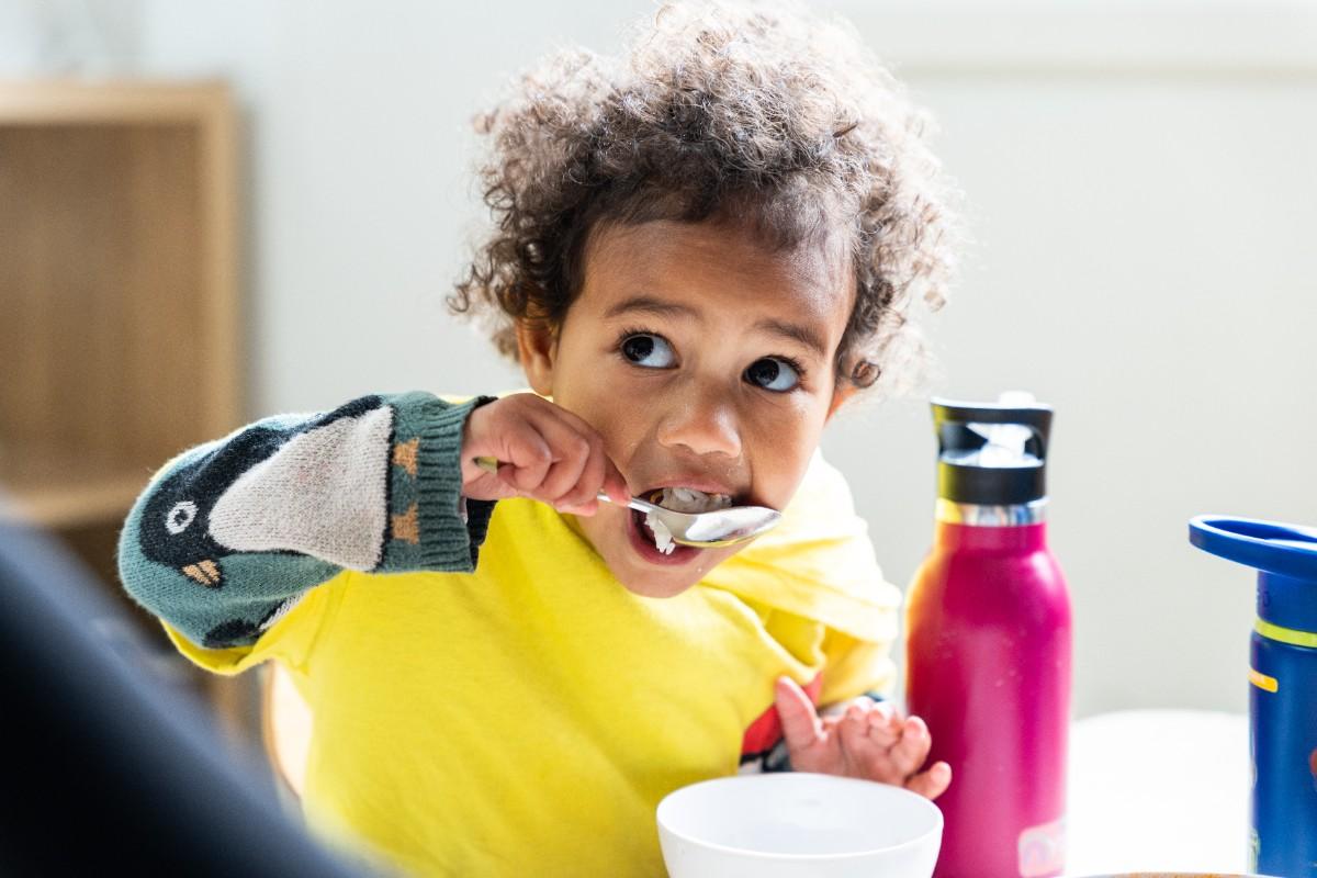 Lunch Appealing for Little Eaters