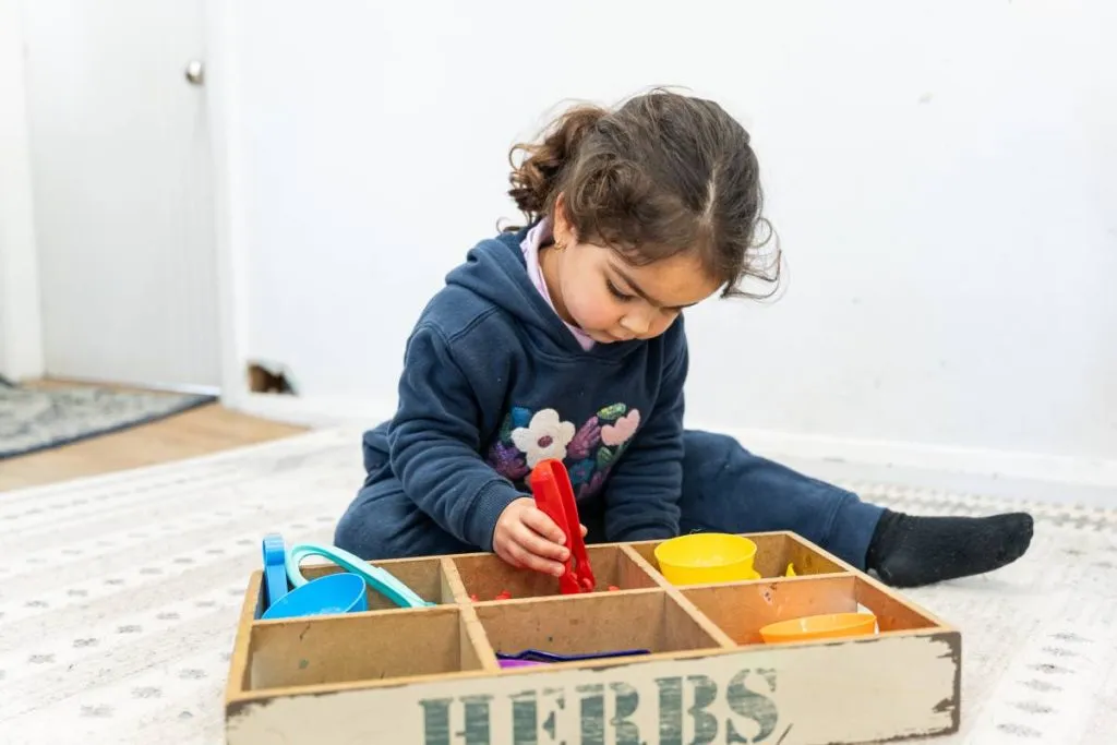 Cognitive Development